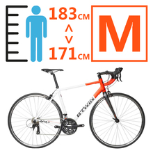 Decathlon/迪卡侬 M-55CM