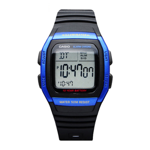 Casio/卡西欧 W-96H-2A