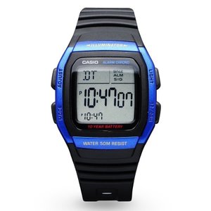 Casio/卡西欧 W-96H-2A