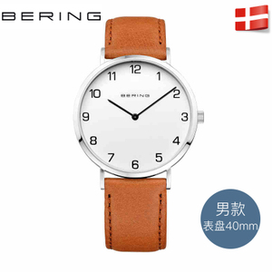 BERING 13940-504