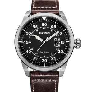 Citizen/西铁城 AW1360-55E