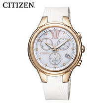 Citizen/西铁城 FB1312-06A