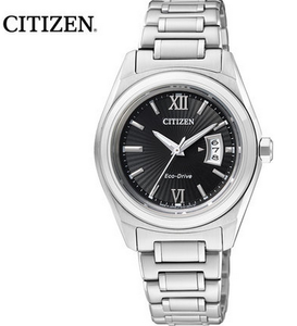 Citizen/西铁城 FE1050-52E