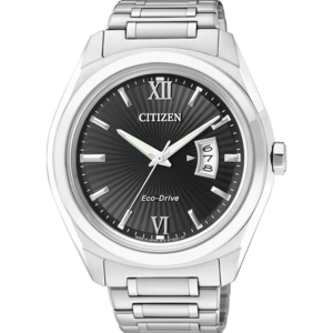 Citizen/西铁城 AW1100-56E