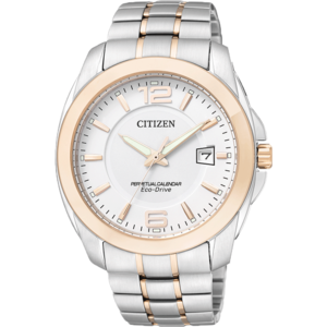 Citizen/西铁城 BL1248-57A