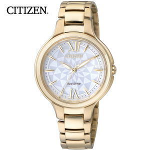 Citizen/西铁城 EP5997-51A