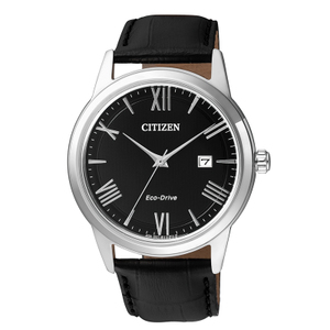 Citizen/西铁城 AW1231-07E