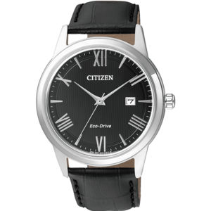 Citizen/西铁城 AW1231-07E