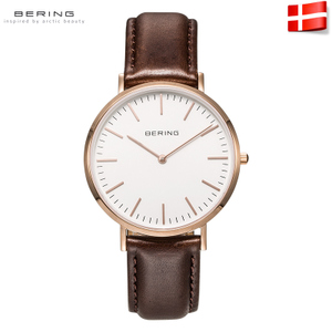 BERING 13738-564