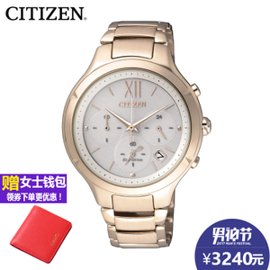 Citizen/西铁城 FB4013-51A