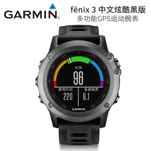 Garmin/佳明 Fenix3