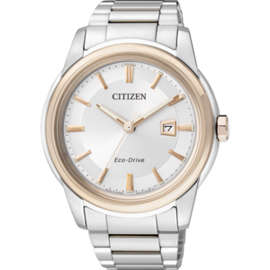 Citizen/西铁城 AW1124-58A