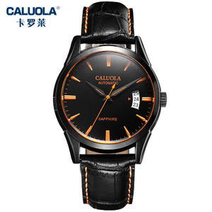 CALUOLA/卡罗莱 CA1102M