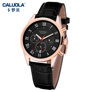 CALUOLA/卡罗莱 CA1060G