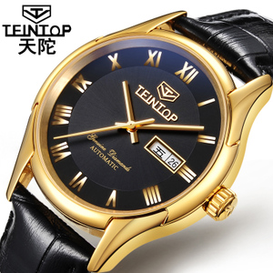 TEINTOP/天陀 8623Q