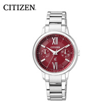 Citizen/西铁城 FD1010-53X