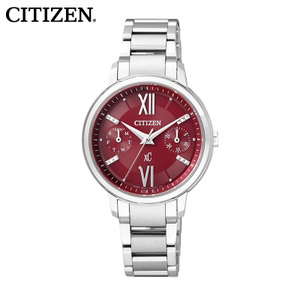 Citizen/西铁城 FD1010-53X