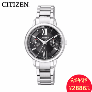 Citizen/西铁城 FD1010-53E