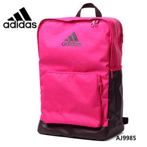 Adidas/阿迪达斯 AJ9985