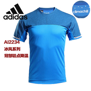 Adidas/阿迪达斯 AI2234