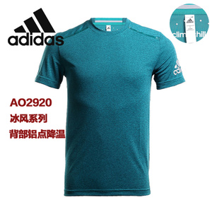 Adidas/阿迪达斯 AO2920