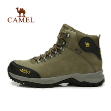 Camel/骆驼 82185606