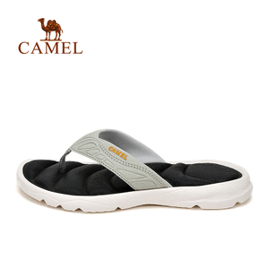 Camel/骆驼 A61162607