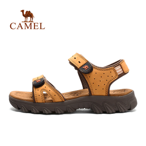 Camel/骆驼 A52396601