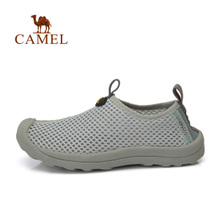 Camel/骆驼 A92162601-1