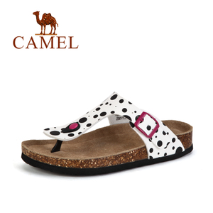 Camel/骆驼 A62226610