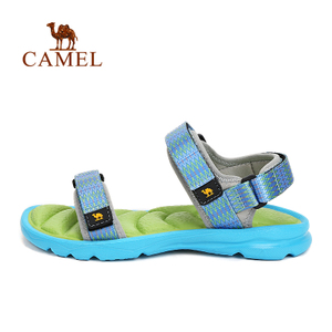 Camel/骆驼 A61162603