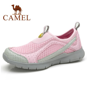 Camel/骆驼 81119604