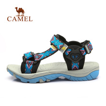 Camel/骆驼 A93119615