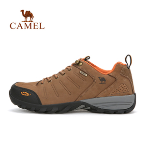 Camel/骆驼 A532026465