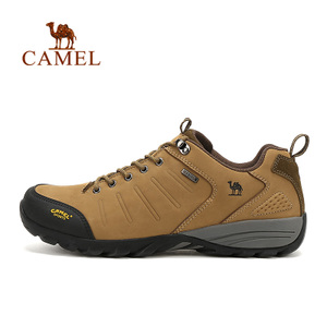 Camel/骆驼 A532026465