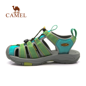 Camel/骆驼 93162603