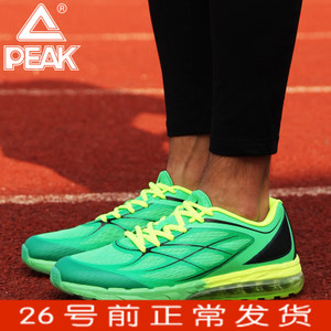 Peak/匹克 DH620283