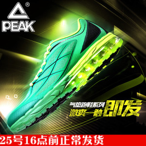 Peak/匹克 DH620283