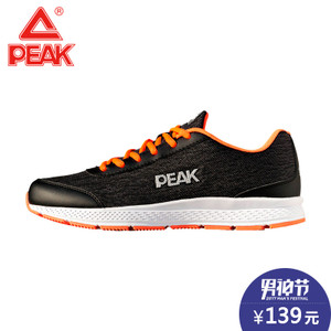 Peak/匹克 DH610293