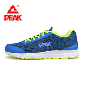 Peak/匹克 DH610293