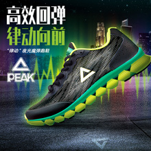 Peak/匹克 E53997H