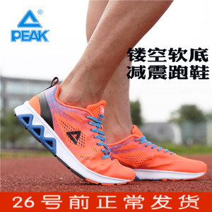 Peak/匹克 DH610281