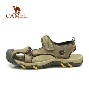 Camel/骆驼 82211606