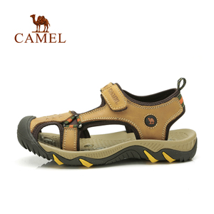Camel/骆驼 81211600
