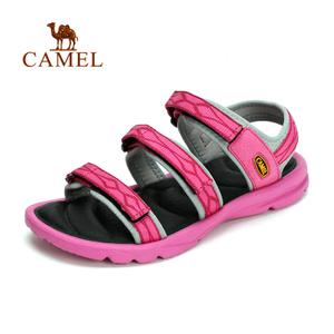 Camel/骆驼 A61162604