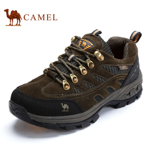 Camel/骆驼 3W330039