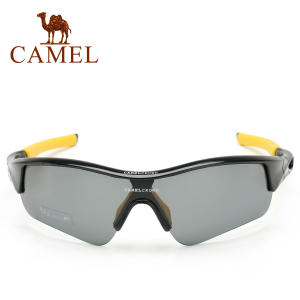 Camel/骆驼 2SA3092