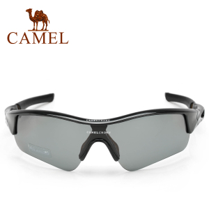 Camel/骆驼 2SA3092