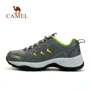 Camel/骆驼 A94119617