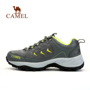 Camel/骆驼 A94119617